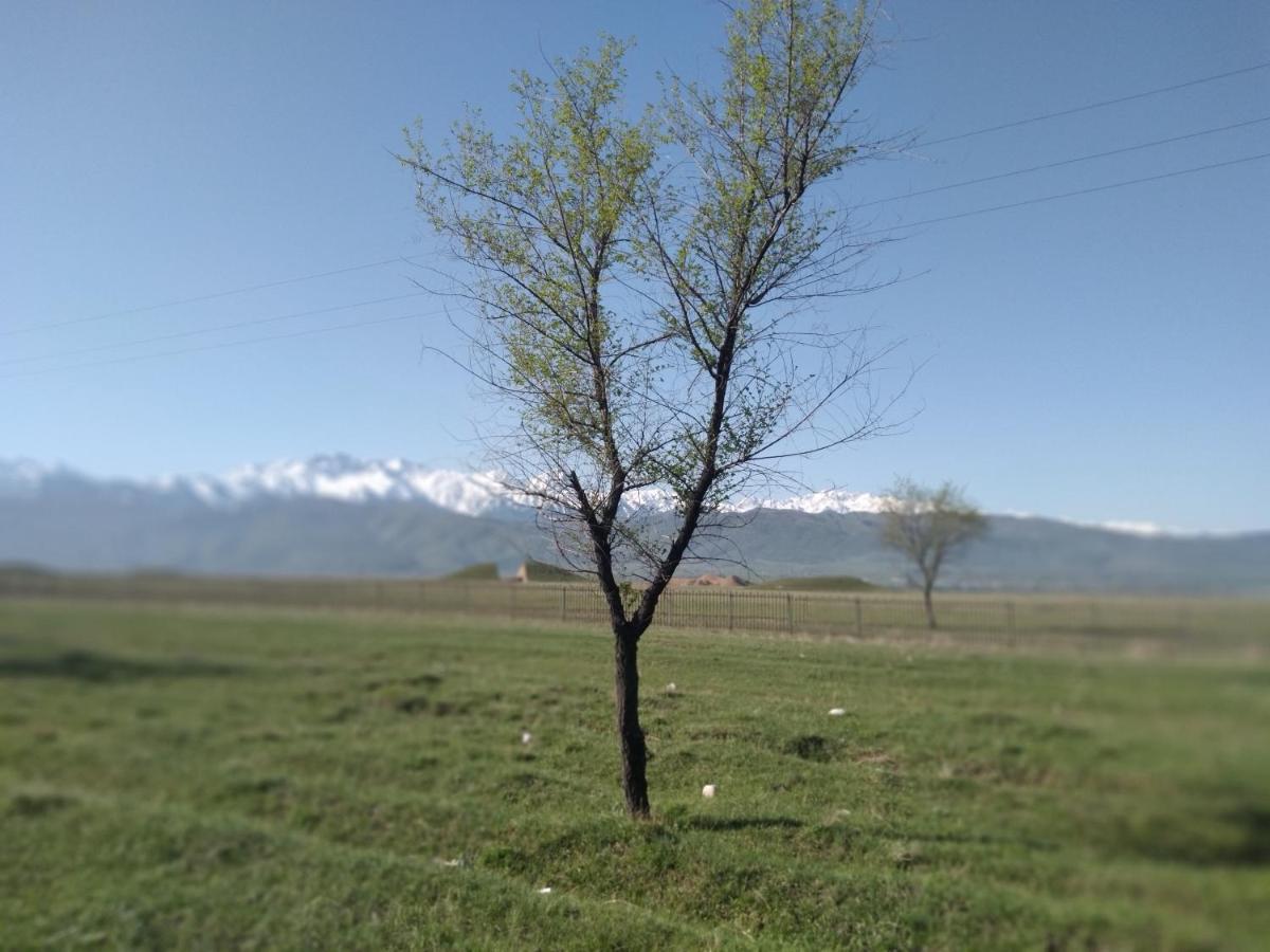 Уютный Ночлег Иссыкские Курганы Rahat Exteriér fotografie